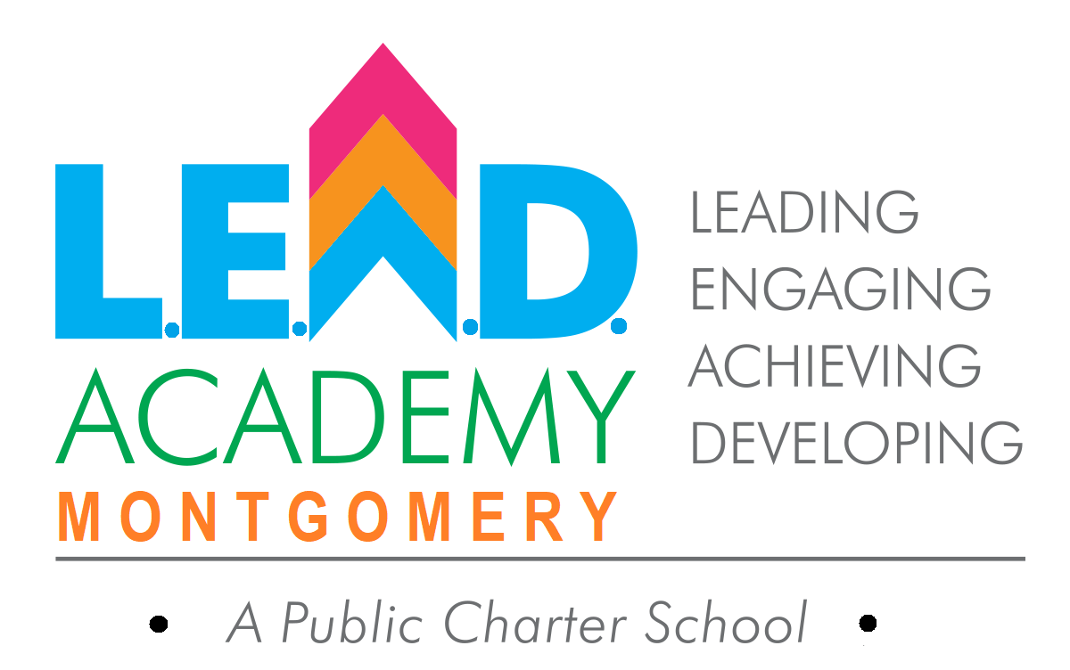 Elevate Your Everyday: Why LEAD Academy is Your Next Must-Have for UK Success